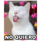 NO QUIERO