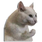 Sticker #747669