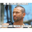 Me va tocar enseñarle de qué lado masca la iguana