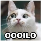 OOOILO