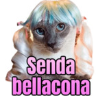 Senda bellacona