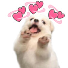 Sticker #999740