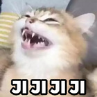 JI JI JI JI