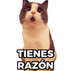 TIENES RAZÓN