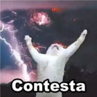 Contesta