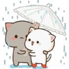 Gatos kawaii bajo la lluvia
