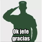 Ok jefe gracias