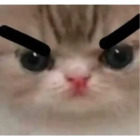 Sticker #327633