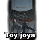 Toy joya