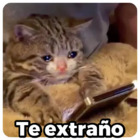 Te extraño