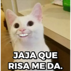 JAJA QUE RISA ME DA.
