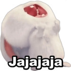 Jajajaja