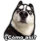 ¿Cómo así?