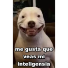 Me gusta que veas mi inteligencia