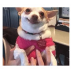 Sticker #714893