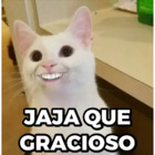 JAJA QUE GRACIOSO