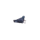 Sticker #825892