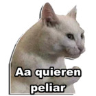 Aa quieren peliar
