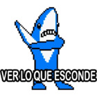 VER LO QUE ESCONDE