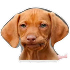Sticker #886229