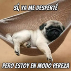 Si, ya me desperté, pero estoy en modo pereza