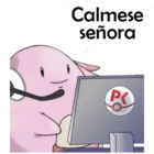 Cálmese señora