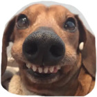Sticker #746277