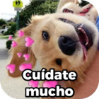 Cuídate mucho