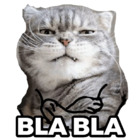 Bla bla