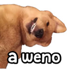 A weno
