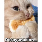 Desayunacion...