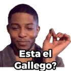 Esta el Gallego?