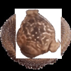 Sticker #276926