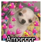 Amorrrr