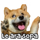 Le ara sopa