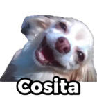 Cosita