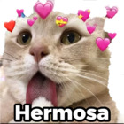 Hermosa