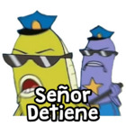 Señor Detiene