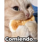 Comiendo...