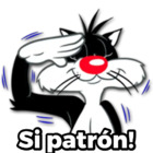 Si patrón!