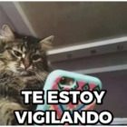 TE ESTOY VIGILANDO