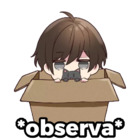 *observa*