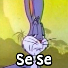Se se
