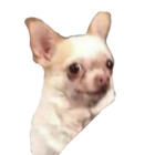 Sticker #725376