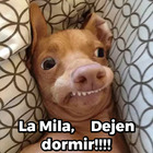La Mila, Dejen dormir!!!!