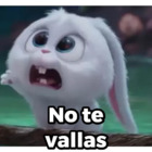 No te vallas