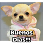 Buenos Dias!!!