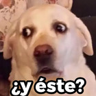 ¿Y éste?