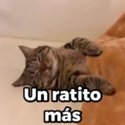 Un ratito más