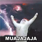 Muajajaja